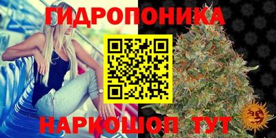 ALPHA PVP Будённовск